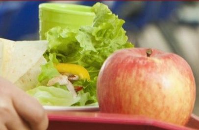 taco, lettuce and apple on lunch tray